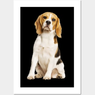 Beagle Dog, Love Beagle Dogs Posters and Art